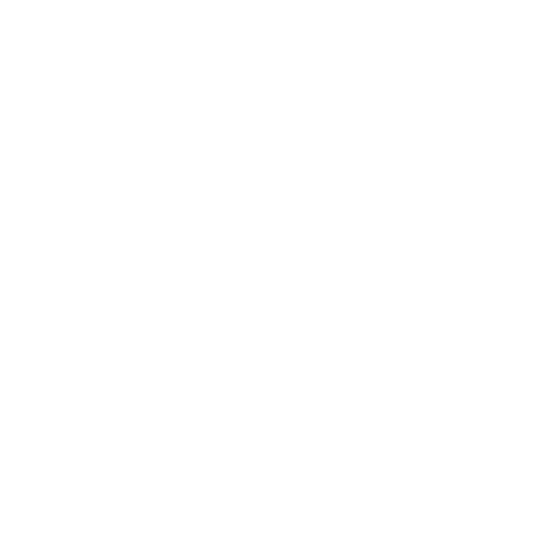 Google +